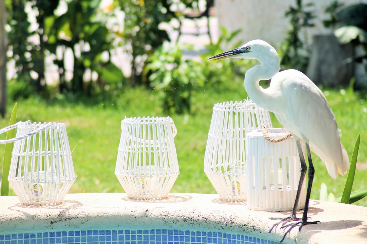 Maya Hotel Residence Isla Holbox Luaran gambar